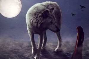 روانشناسی | بگو اول چی دیدی تا بهت بگم تصمیمات منطقی یا احساسی

