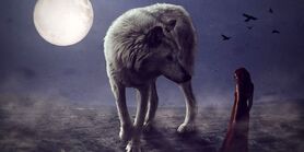 روانشناسی | بگو اول چی دیدی تا بهت بگم تصمیمات منطقی یا احساسی

