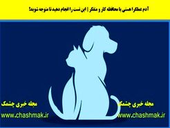 روانشناسی | چقدر میتونی واسه آیندت رو شریک عاطفیت حساب باز کنی؟
