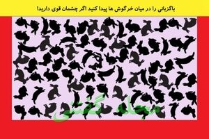 تست هوش | باگزبانی را در بین خرگوش ها پیدا کنید؟ اگر چشمان قوی دارید!