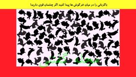 تست هوش | باگزبانی را در بین خرگوش ها پیدا کنید؟ اگر چشمان قوی دارید!