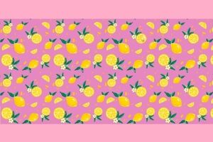 تست هوش | آیا دوست دارید کمی دقت و بینایی خود را به چالش بکشید؟ پروانه رو پیدا کن