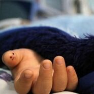 دستگیری عامل پنچر کردن آمبولانس