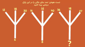 تست هوش | جای خالی را در کمتر سی ثانیه پر کنید + پاسخ تست