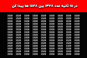 تست هوش |چشمای ذره‌بینت رو به کار بنداز و بین ۱۵۲۸‌ها، عدد ۱۳۲۸ را پیدا کن