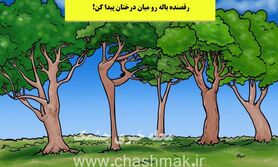 تست هوش | چشات مثل عقاب تیزه، پس بالرین یا رقصنده باله رو میان درختان پیدا کن!
