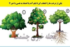 تست شخصیت شناسی | چقدر ادم اصیلی هست؟ یک درخت این قضیه رو فاش میکنه