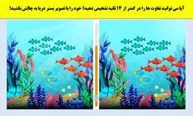 تست هوش | زیر 15 ثانیه تفاوت های تصویر را پیدا کنید