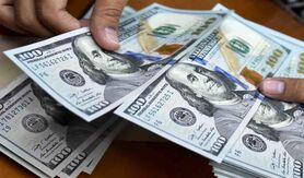 قیمت دلار باز هم بالا می رود | پیش بینی عجیب از قیمت دلار