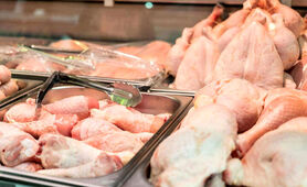 انفجار بزرگ در بازار قیمت مرغ | قیمت مرغ گران می شود؟