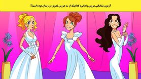 تست هوش | کدام یک از عروس خانم ها خلافکار بوده؟ + پاسخ تست