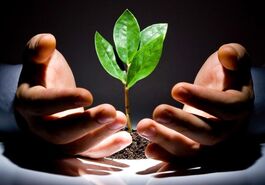 وام قرض الحسنه برای این افراد | آغاز ثبتنام وام قرض الحسنه فرزند آوری