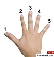 روانشناسی | کدام انگشت دستتو بیشتر دوست داری تا بگم چه شخصیتی داری