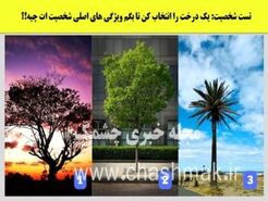 تست شخصیت شناسی  | یک درخت انتخاب کن تا بگم ذاتا رهبر یا پیرو بقیه هستی