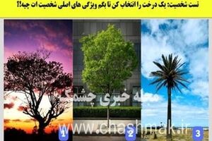 تست شخصیت شناسی  | یک درخت انتخاب کن تا بگم ذاتا رهبر یا پیرو بقیه هستی
