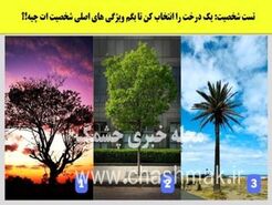 تست شخصیت شناسی  | یک درخت انتخاب کن تا بگم ذاتا رهبر یا پیرو بقیه هستی