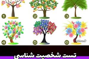 روانشناسی |  یه درخت انتخاب کن تا بگم عشقت چطور آدمیه تو رابطه 