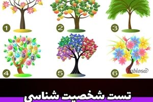 روانشناسی |  یه درخت انتخاب کن تا بگم عشقت چطور آدمیه تو رابطه 