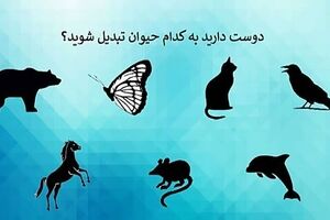 روانشناسی | بگید دوست دارید کدام حیوان باشید تا شخصیت درونی شما را فاش کنم
