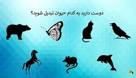 روانشناسی | بگید دوست دارید کدام حیوان باشید تا شخصیت درونی شما را فاش کنم