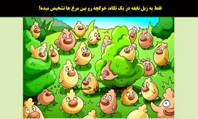 تست هوش | فقط یه تیز بین میتونه این تست هوش رو حل کنه