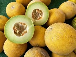 خواص بیشمار پوست خربزه برای پوست | اگر بدانید پوست خربزه را دور نمی اندازید