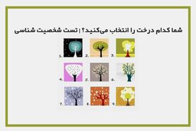 تست روانشناسی | یک درخت انتخاب کن و پیام آخر هفته خودتو بخون