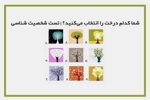 تست روانشناسی | یک درخت انتخاب کن و پیام کائنات بخون
