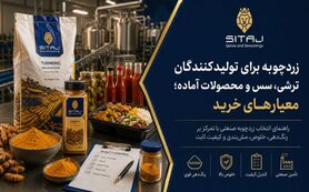 زردچوبه برای تولیدکنندگان ترشی، سس و محصولات آماده؛ معیارهای خرید