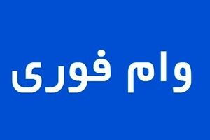 وام فوری بدون ضامن در کمترین زمان | سورپرایز  دولت بای متقاضیان وام فوری با سود مناسب