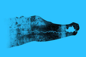 روانشناسی | اولین کروکودیل دیدی یا قایق؟ + تفسیر کامل