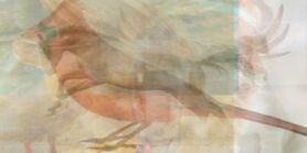 تو این عکس چه حیوونی میبینی؟ بگو تا شگفت زده شی
