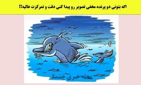 تست هوش | اگه بتونی دو پرنده مخفی تصویر رو پیدا کنی دقت و تمرکزت عالیه!؟
