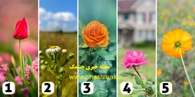 روانشناسی | ویژگی خاص شما از نظر اطرافیانتون چیه؟ یک گل انتخاب کنید 