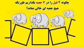 تست هوش | چگونه 4 فیل را در 7 جعبه بگذاریم طوریکه که هیچ جعبه ای خالی نماند؟+ پاسخ