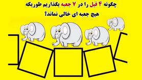تست هوش | چگونه 4 فیل را در 7 جعبه بگذاریم طوریکه که هیچ جعبه ای خالی نماند؟+ پاسخ