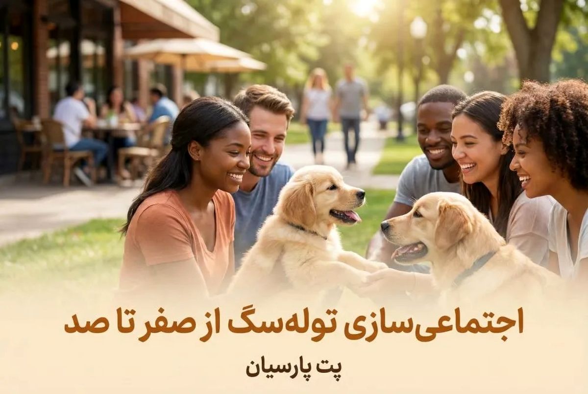اجتماعی‌ سازی توله‌ سگ از صفر تا صد