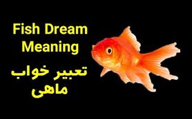 تعبیر خواب ماهی در خواب چیست | تعبیر خواب ماهی از نظر معبران شرقی و غربی